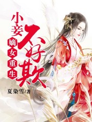贵女小妾